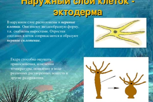 Kraken актуальный сайт