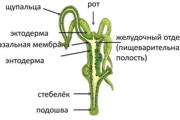 Как зайти на кракен kraken014 com