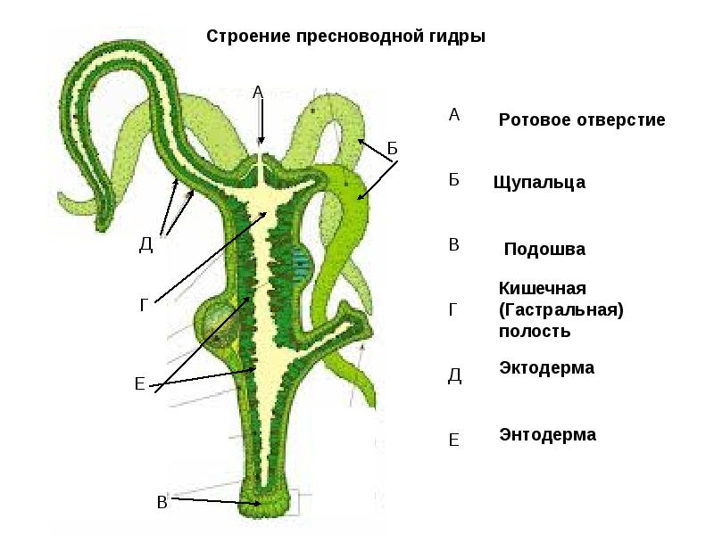 Кракен площадка торговая kr2web in